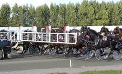 Starten har gått i 2009 års Derbyfinal med Maharajah med i mitten. Foto; ALN